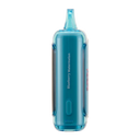 Raz DC25000 Blueberry Watermelon