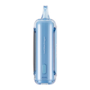 Raz DC25000 Iced Blue Dragon