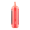 Raz DC25000 Strawberry Peach Gush