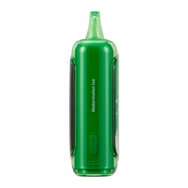 Raz DC25000 Watermelon Ice Christmas Edition