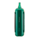 Raz DC25000 Wintergreen