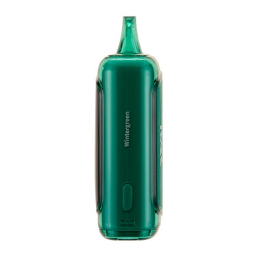 Raz DC25000 Wintergreen