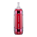 Raz TN9000 Watermelon Ice