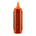 Raz DC25000 Strawberry Orange Tang